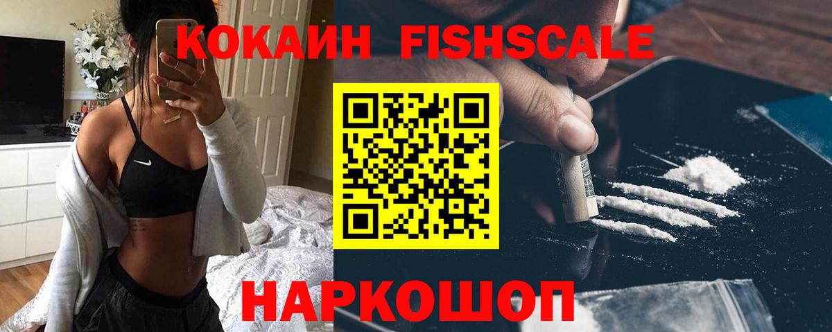 хочу   Вход с VPN  Пенза  Cocaine Fish Scale  COCAIN 99%  КОКАИН 